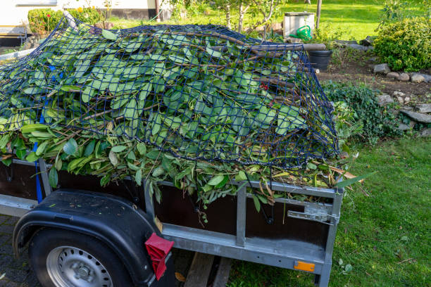 Professional Junk Removal Services in Moyock, NC
